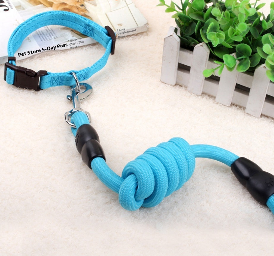 Dog Collar & Harness Rope
