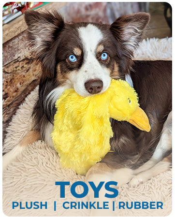 Best Pet Dog Toys For Small Medium And Large Breeds