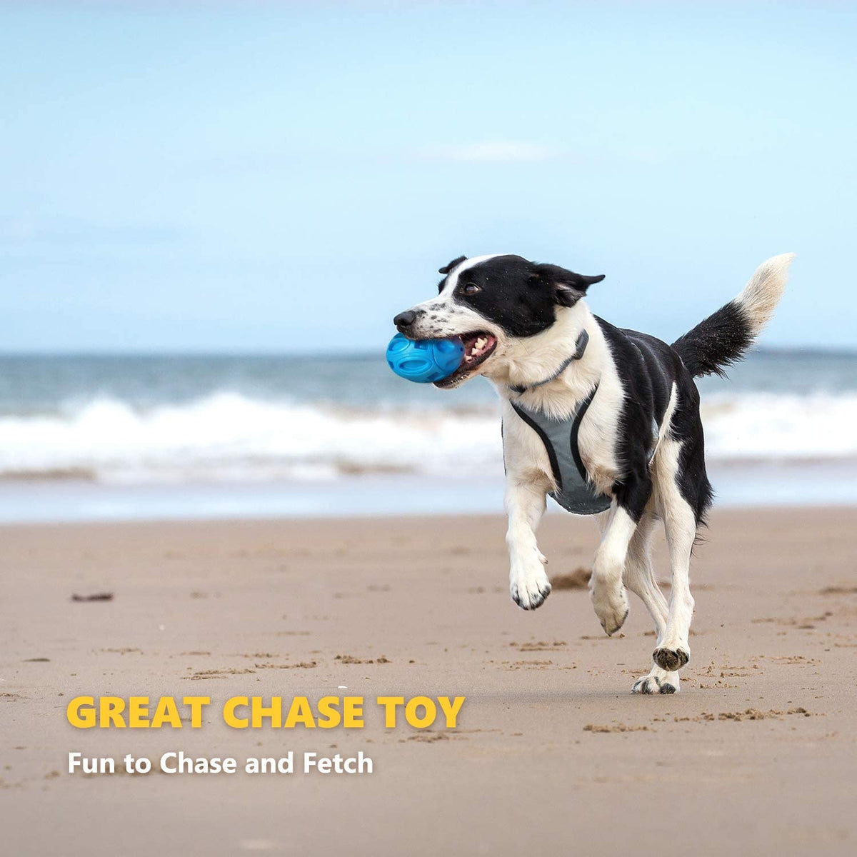 Dog Toys Rugby Wear-Resistant Bite-Resistant
