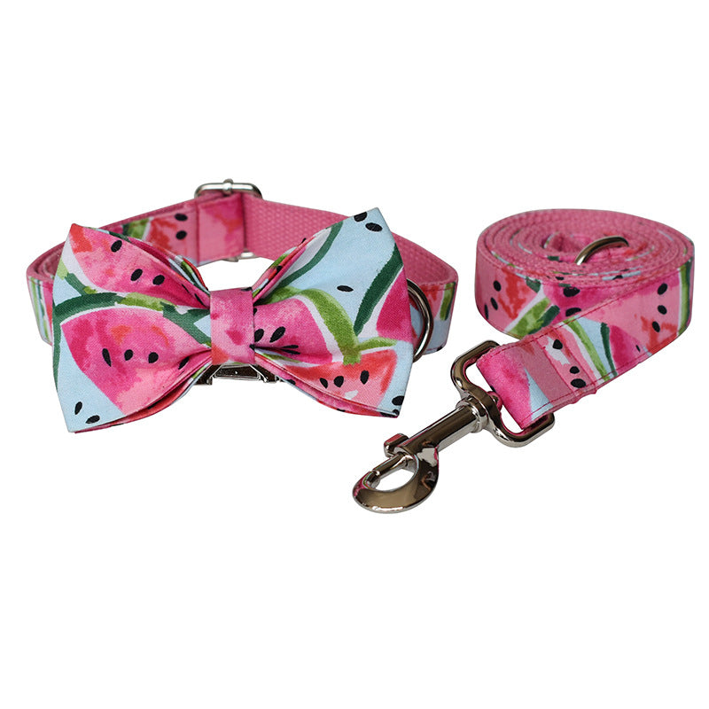 Pet Collar & Leash Set