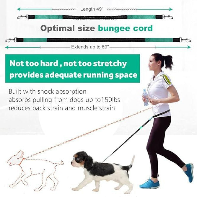 Dog Running Leash Set Reflective Night Running Waist Bag