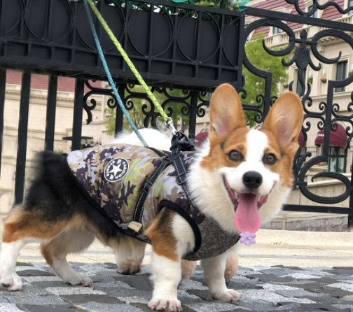 Winter Warm Dog Hooded Coat