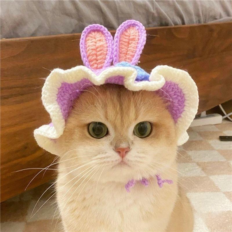 Pet Hat Cute 3D Knitted Wool Bonnet
