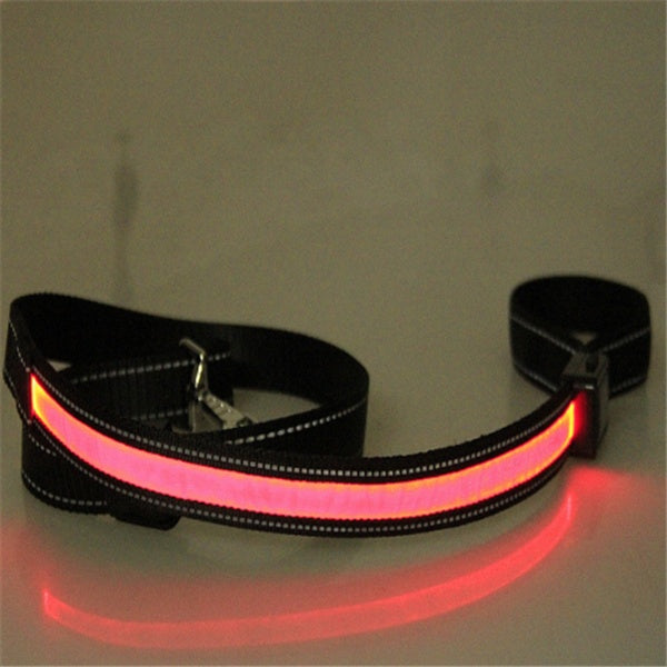 Fluorescent Dog Safety Collar