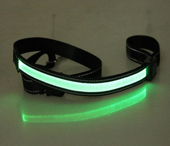 Fluorescent Dog Safety Collar