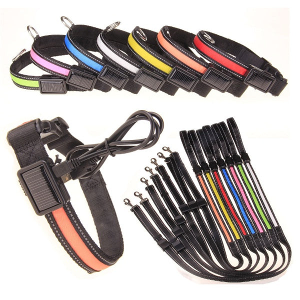 Fluorescent Dog Safety Collar