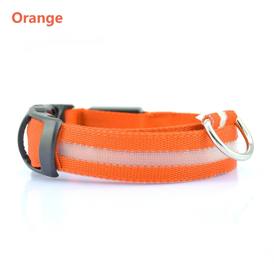Dog LED Safety Collar