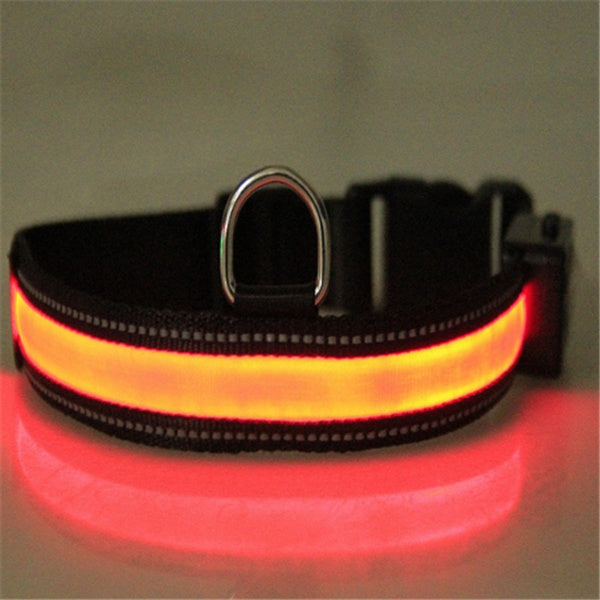 Fluorescent Dog Safety Collar