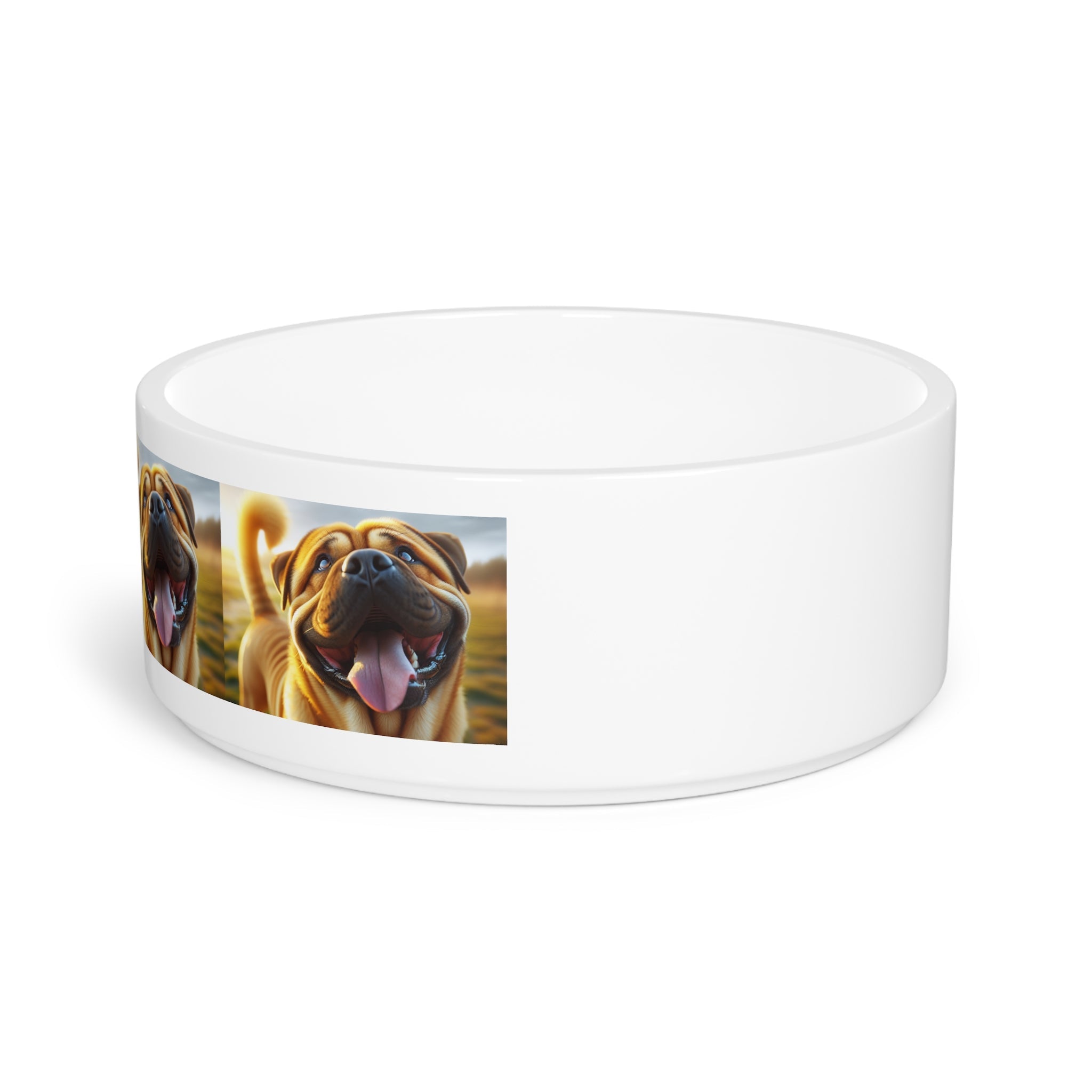 Ceramic Pet Bowl – 16 oz Dog Feeding Bowl