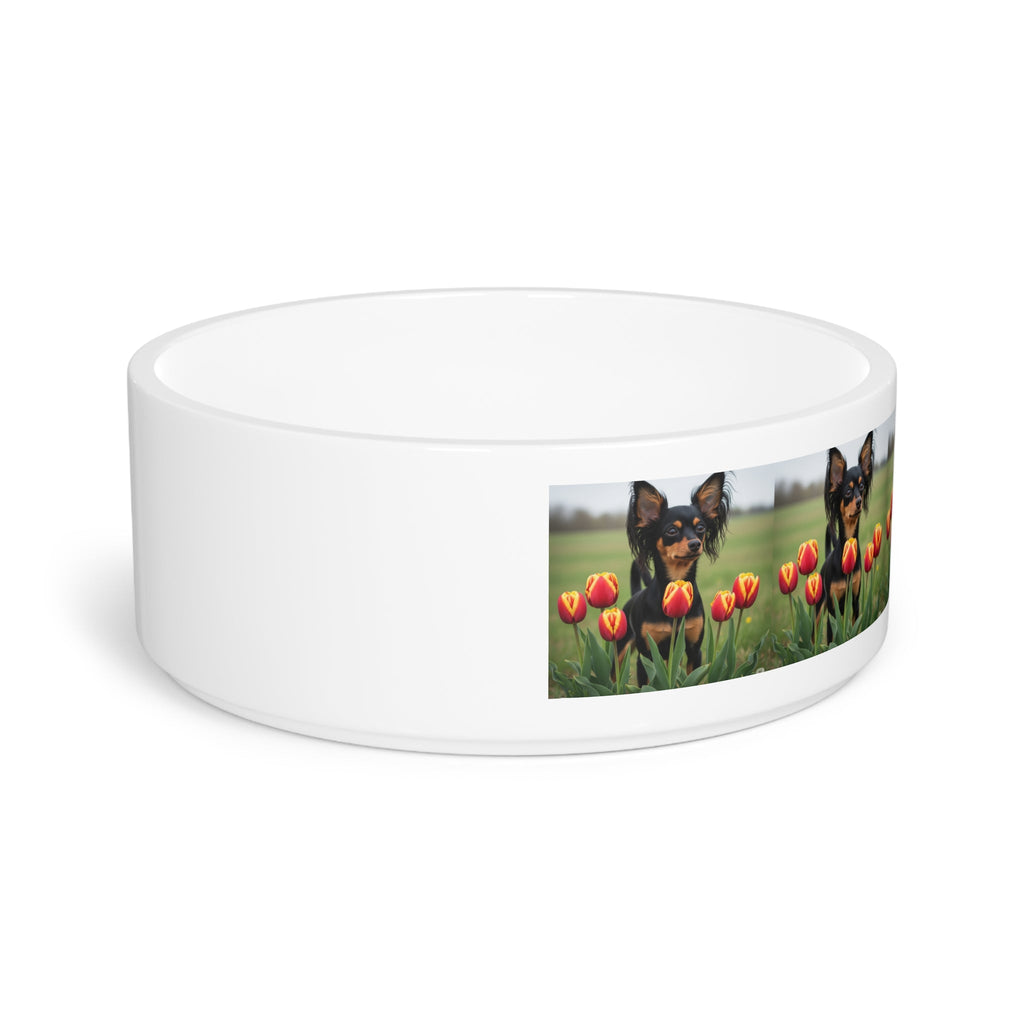 Ceramic Pet Bowl – 16 oz Dog Feeding Bowl