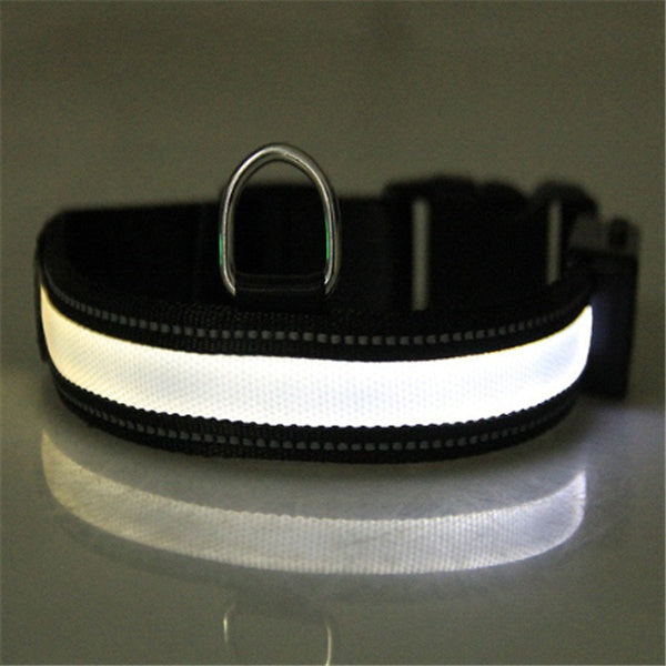 Fluorescent Dog Safety Collar