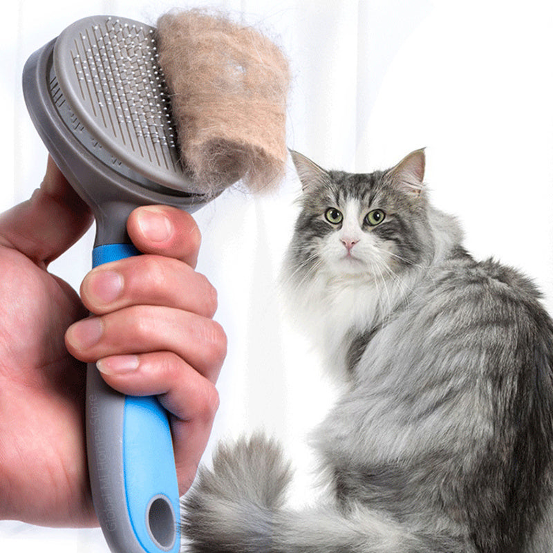 Cat & Dog Slicker Brush