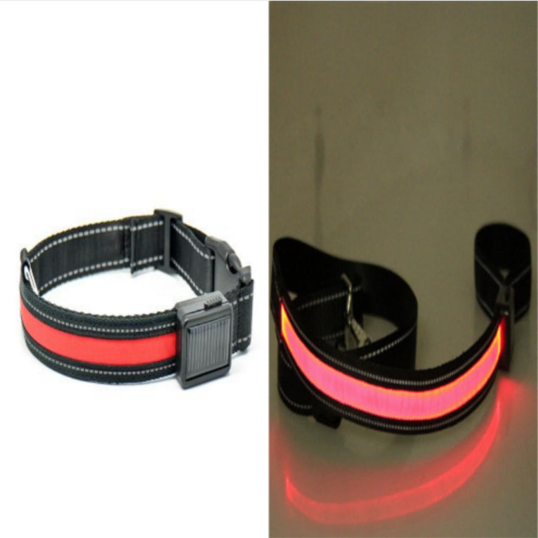Fluorescent Dog Safety Collar