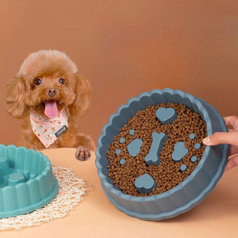 Dog Anti Choking Feeding Bowl