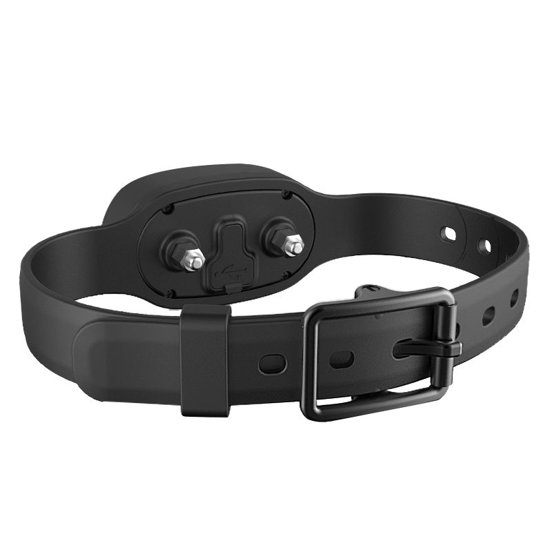 Waterproof Dog Training Collar Rechargeable