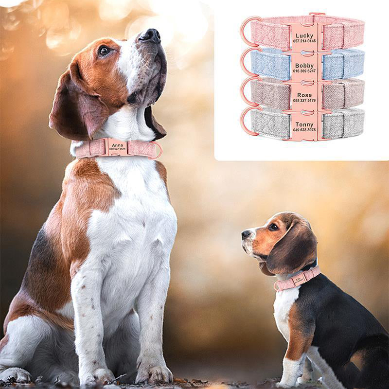 Engraved Dog Collar