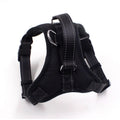 Dog / Cat Chest Harness