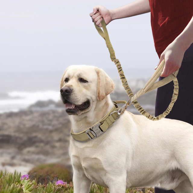 Nylon Dog Collars Large And Medium-sized