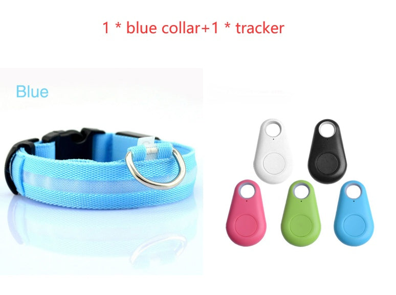 Dog LED Safety Collar