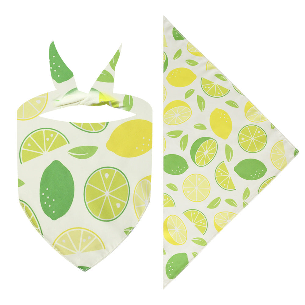 Colorful Bandanas