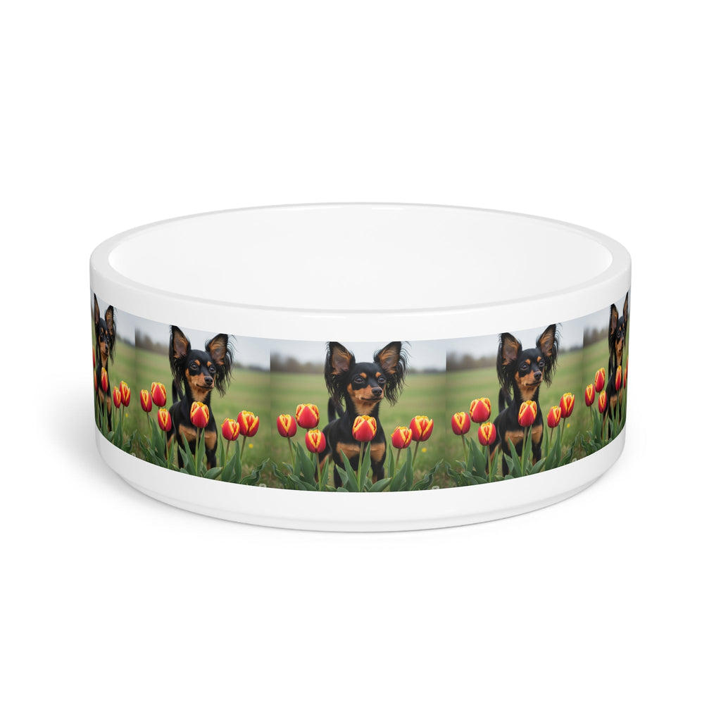 Ceramic Pet Bowl – 16 oz Dog Feeding Bowl
