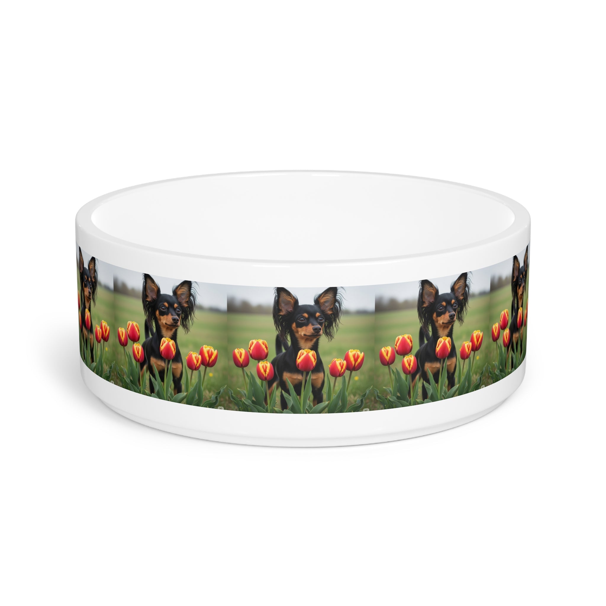 Ceramic Pet Bowl – 16 oz Dog Feeding Bowl