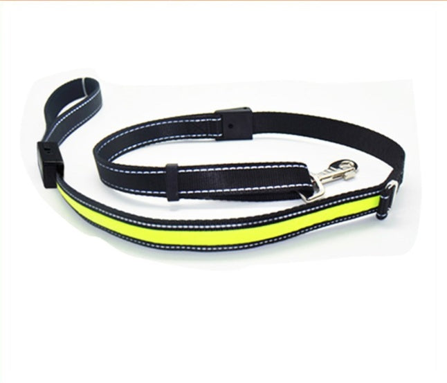 Fluorescent Dog Safety Collar