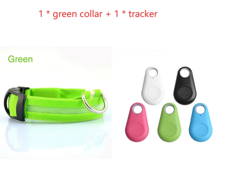 Dog LED Safety Collar