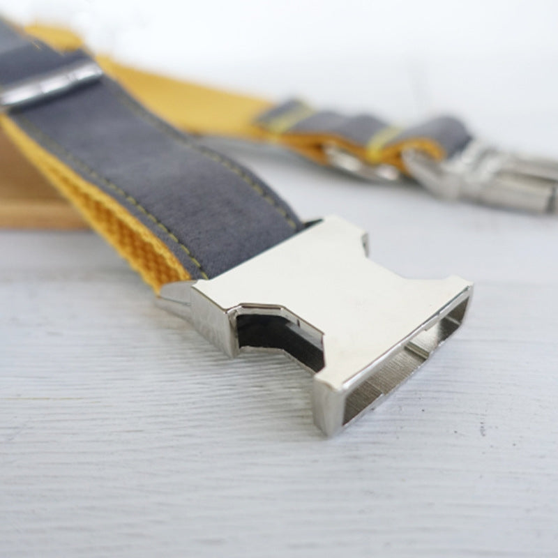 Dog Collar Retractable