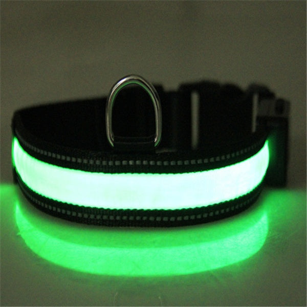 Fluorescent Dog Safety Collar