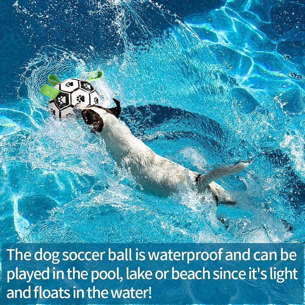 Interactive Dog Football / Soccer Ball Inflated