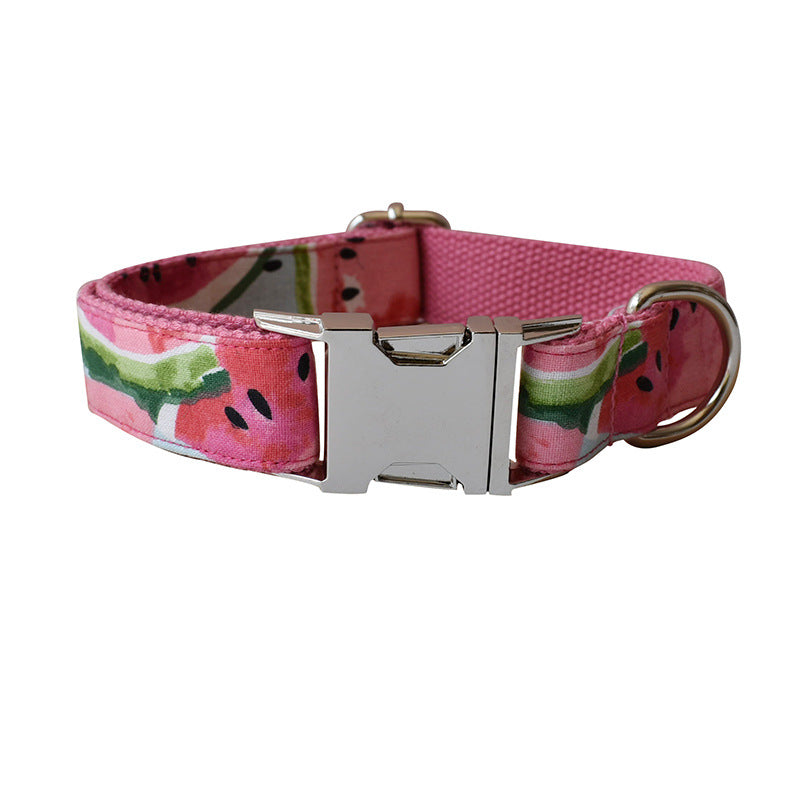 Pet Collar & Leash Set