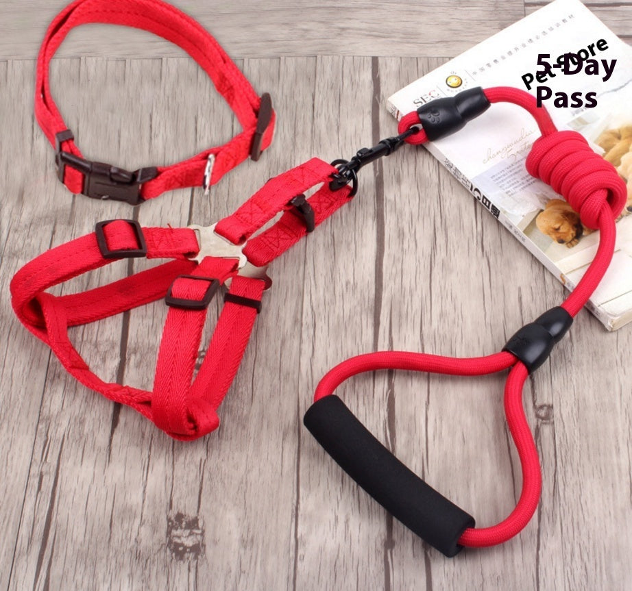 Dog Collar & Harness Rope