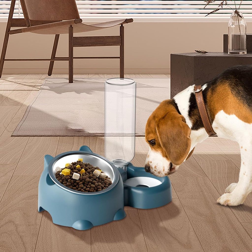 Cat Food And Water Bowl Set