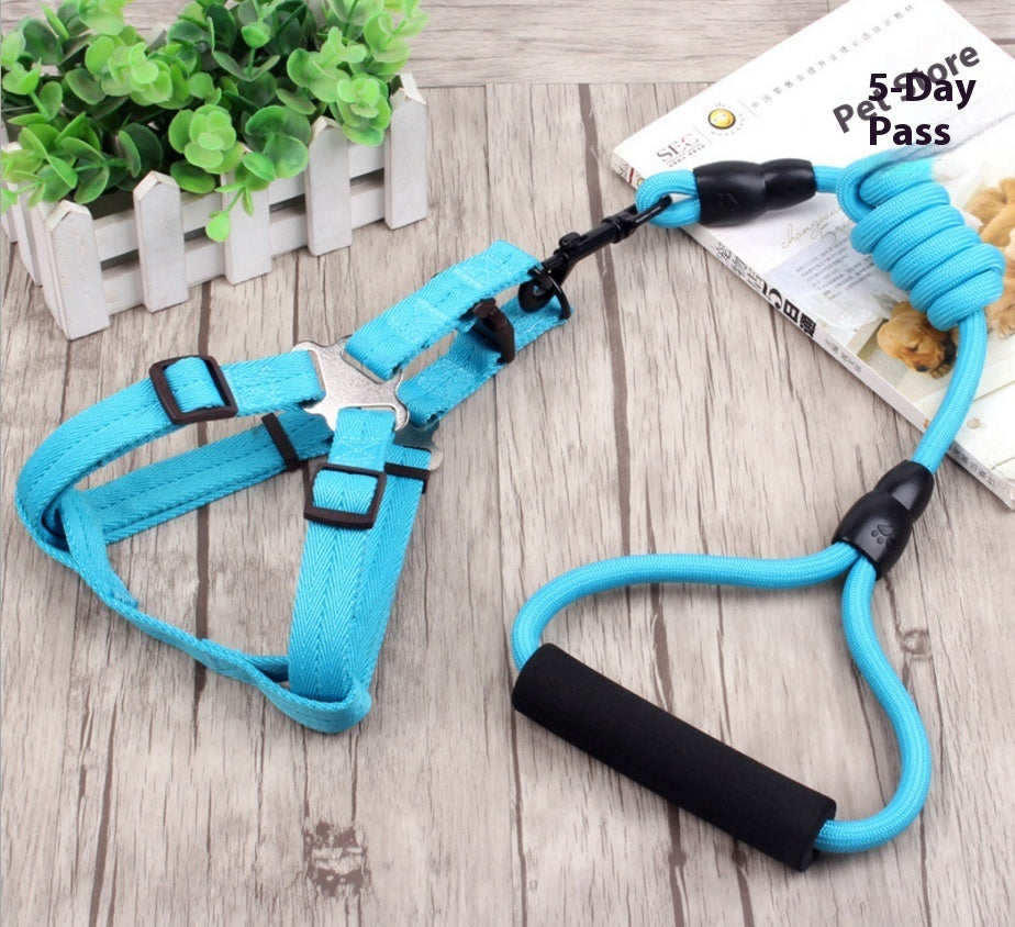 Dog Collar & Harness Rope