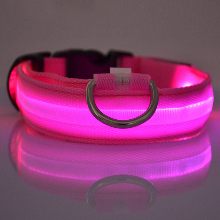 Dog LED Safety Collar