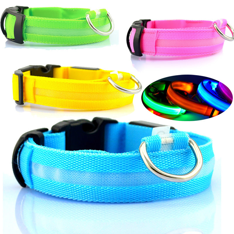 Dog LED Safety Collar
