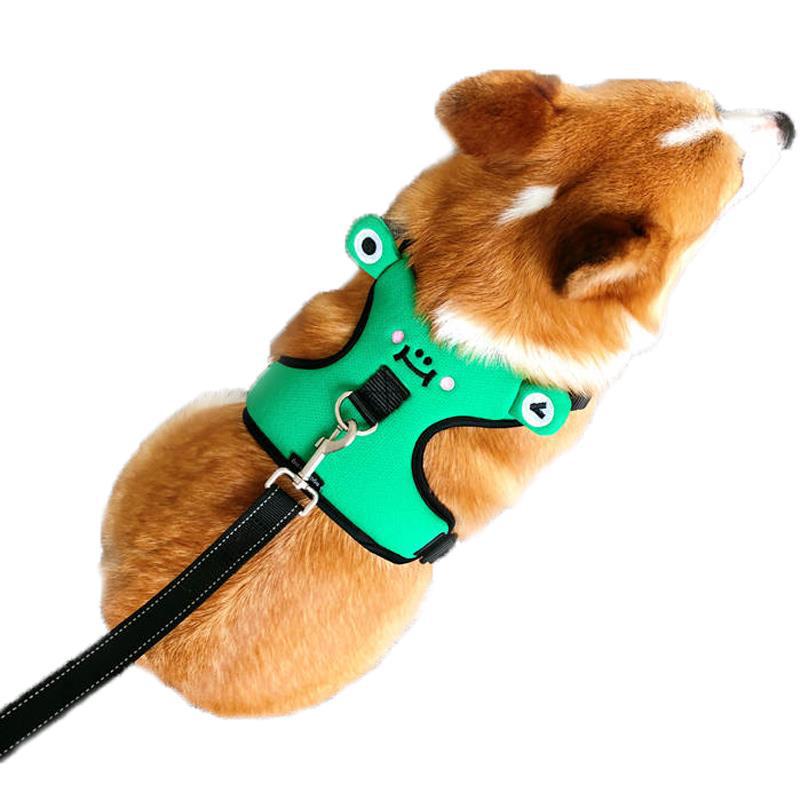 Dog's chest and back with traction rope