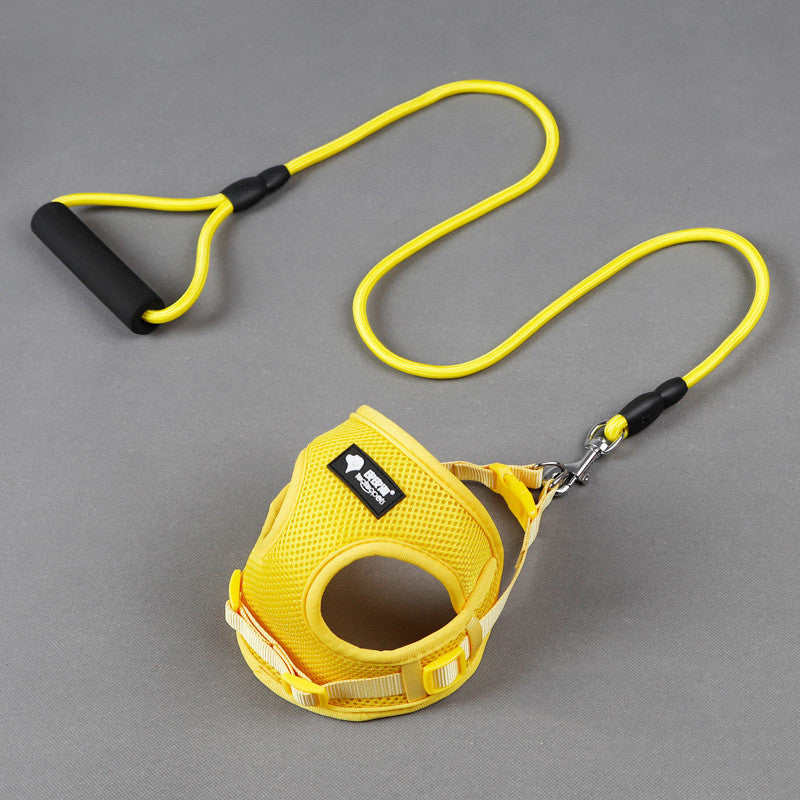 Harness & Leash Set