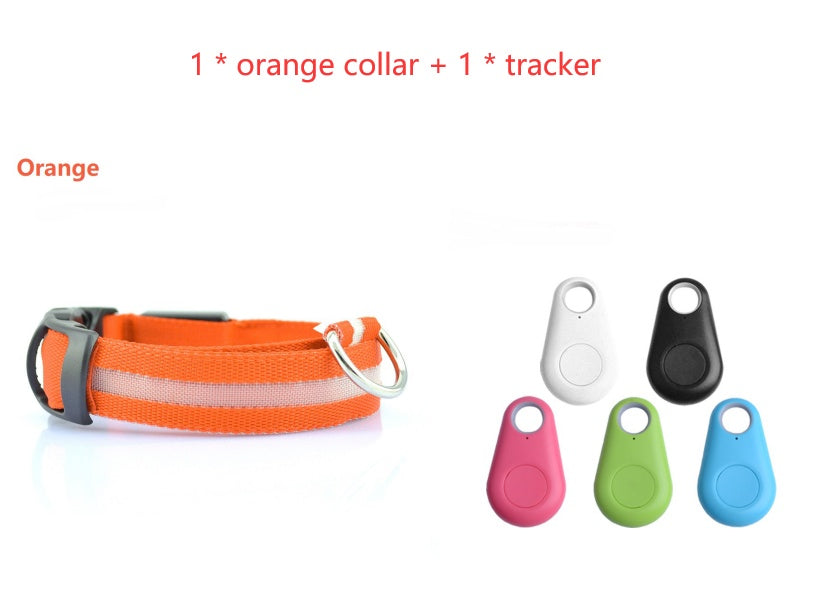 Dog LED Safety Collar