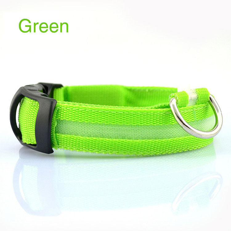 Dog LED Safety Collar