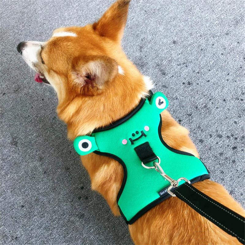 Dog's chest and back with traction rope