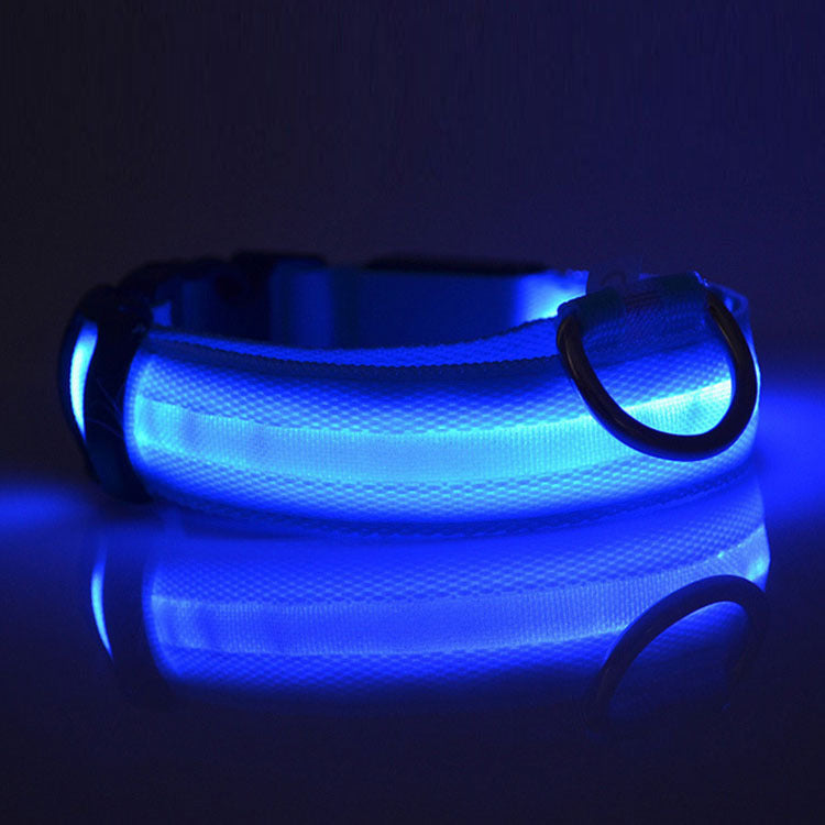 Dog LED Safety Collar
