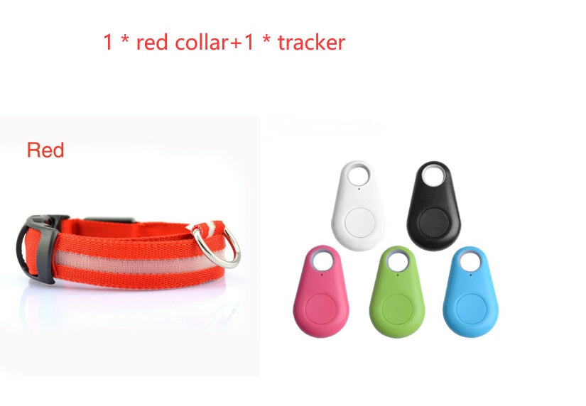 Dog LED Safety Collar