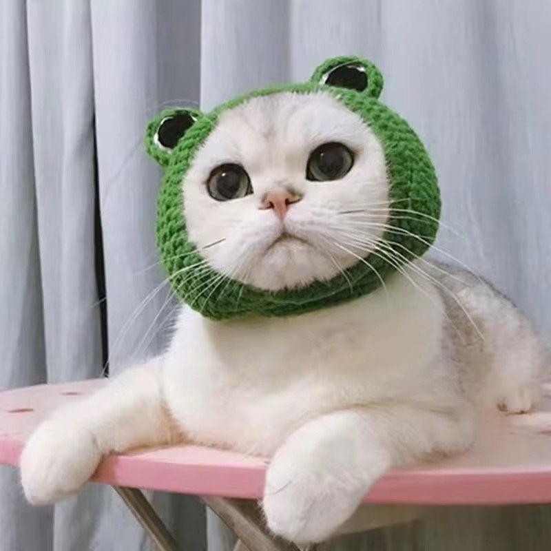 Pet Hat Cute 3D Knitted Wool Bonnet