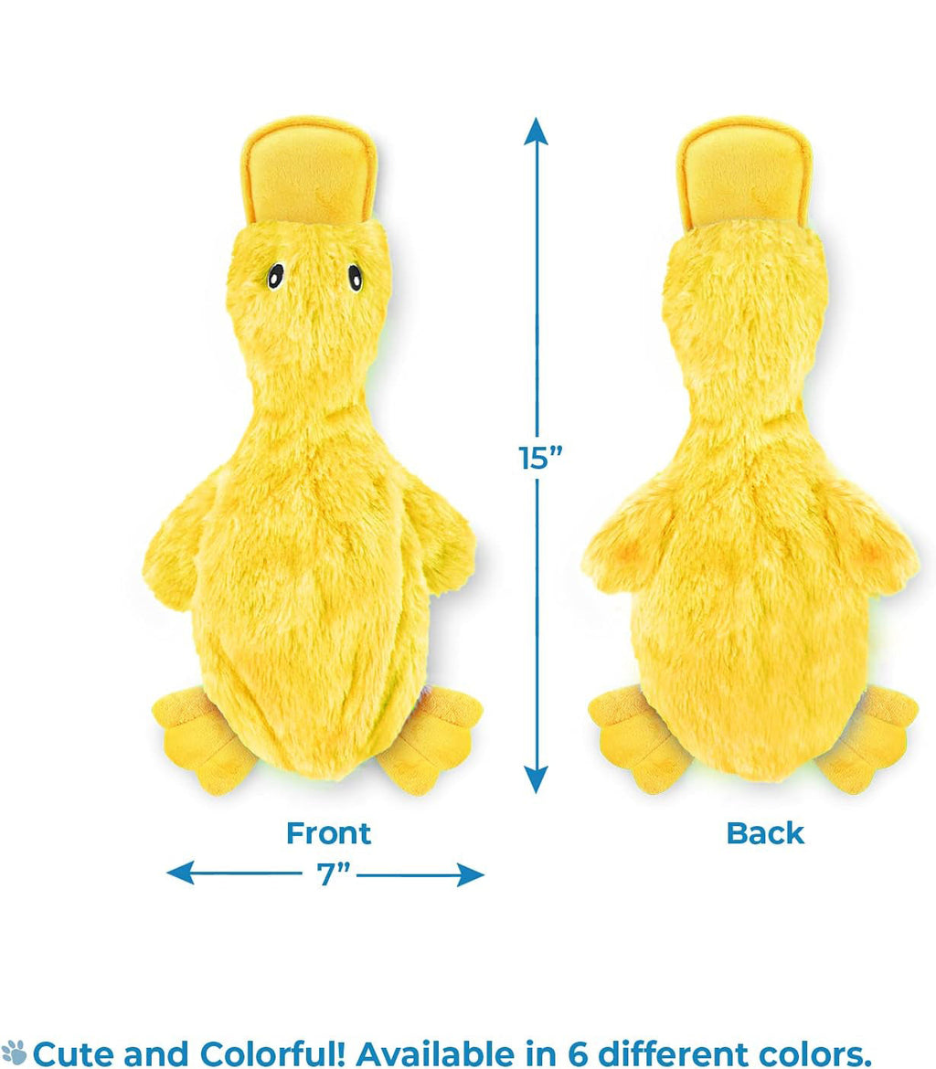 Best Pet Dog Toys For Small Medium And Large Breeds