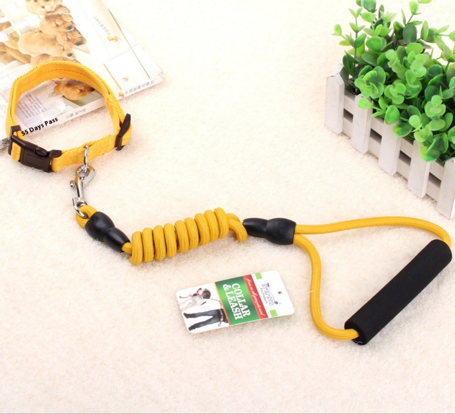 Dog Collar & Harness Rope