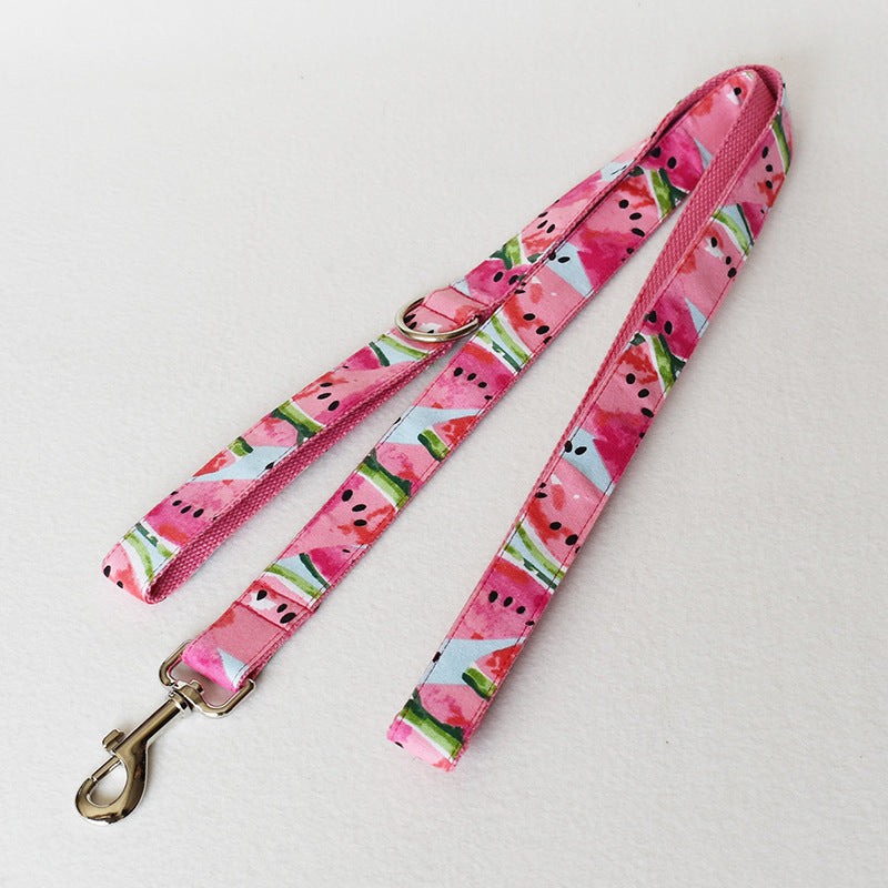Pet Collar & Leash Set