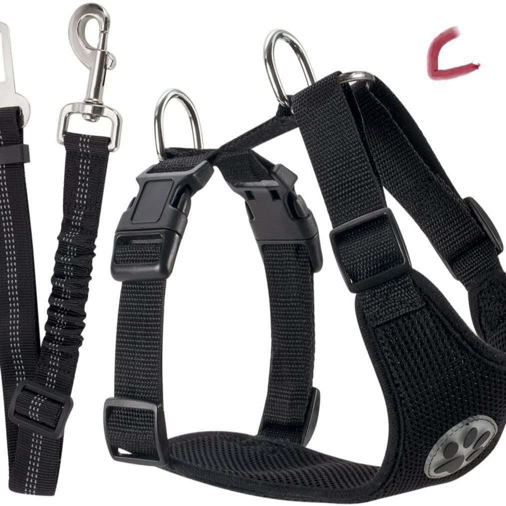 Amazon's Best-Selling Dog Leash