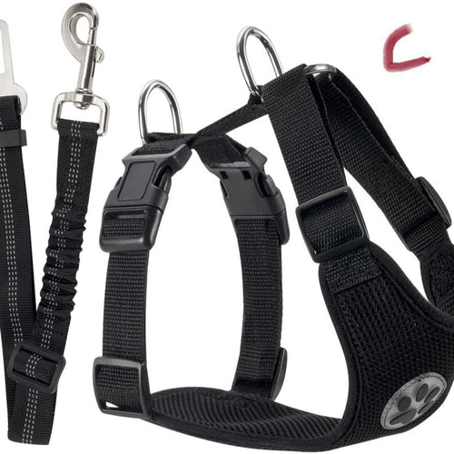 Amazon's Best-Selling Dog Leash